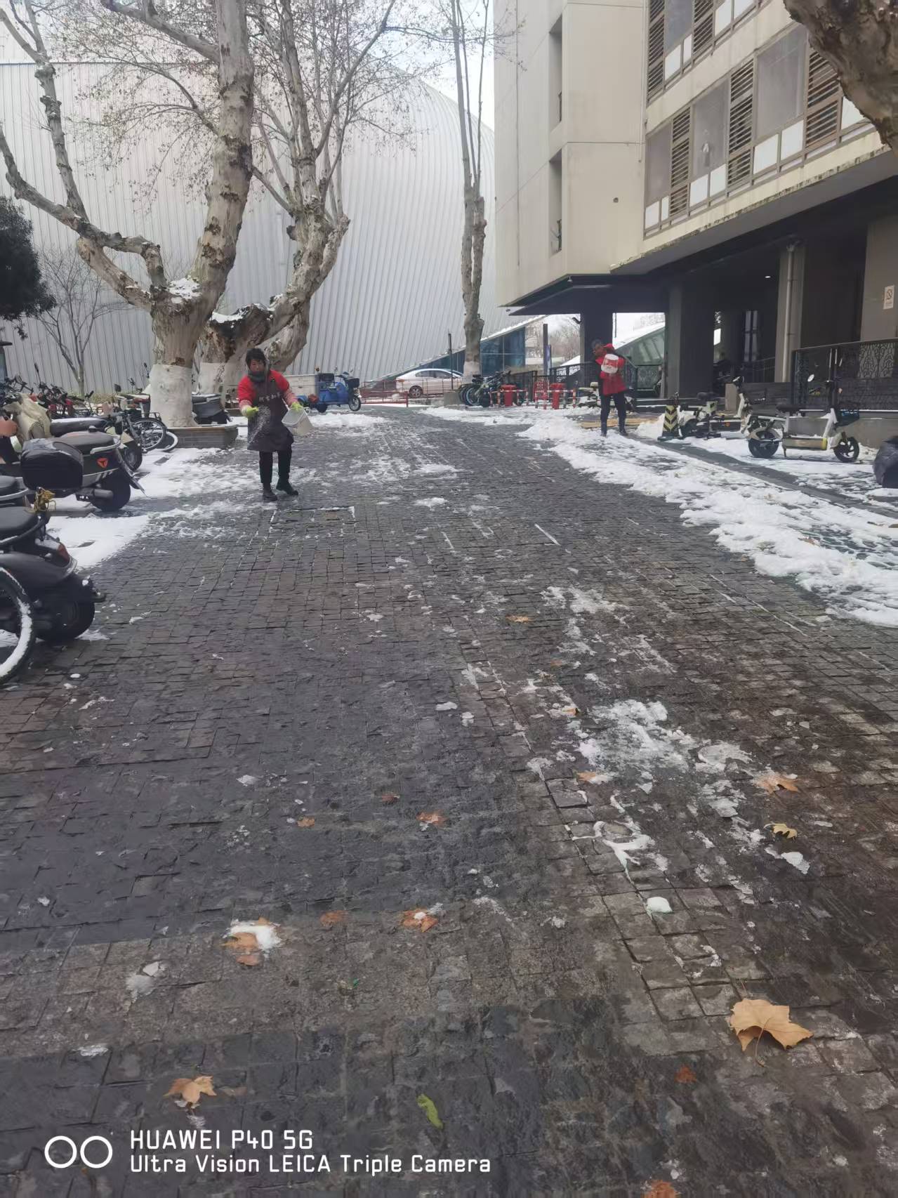未雨绸缪战风雪 南艺后勤护校园