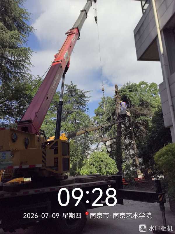 6.jpg 6.jpg
